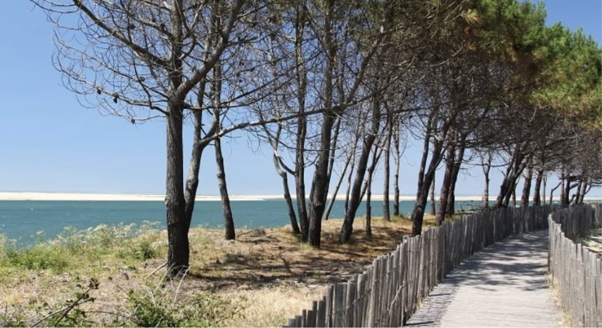LA PALMERAIE