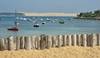 CAP FERRET